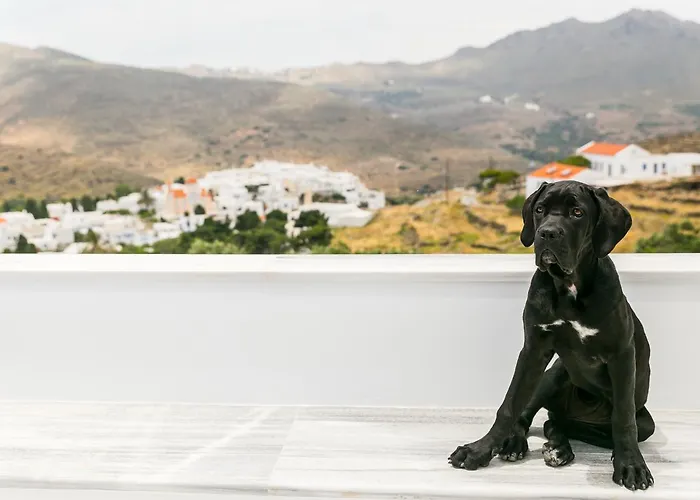 Imarkellis Tinos Boutique * Panormos (Tinos)